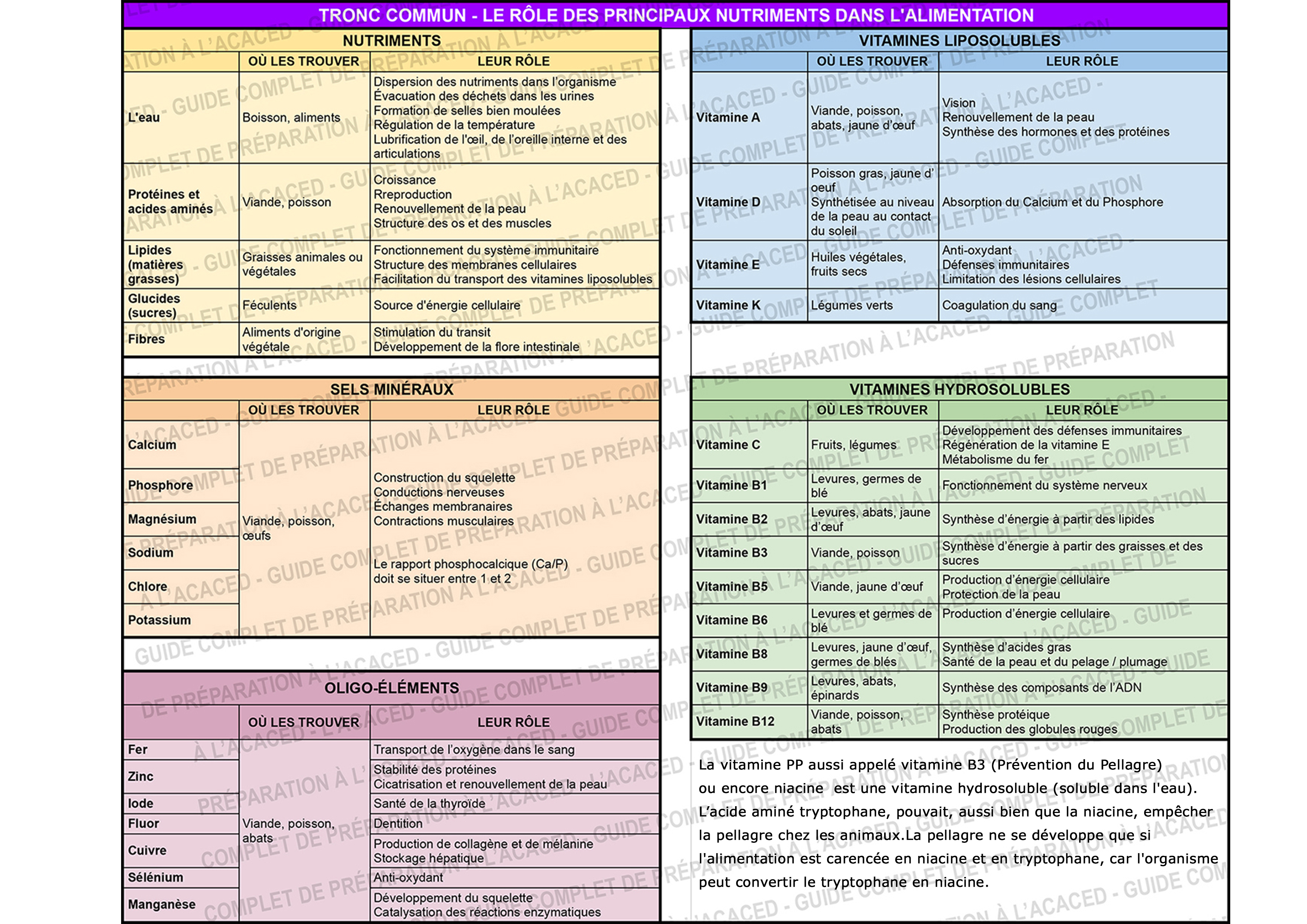 Tableau des aliments ACACED
