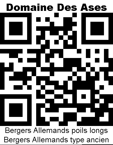 QRcode à scanner