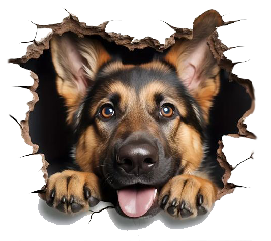 Chiot qui déchire l'écran