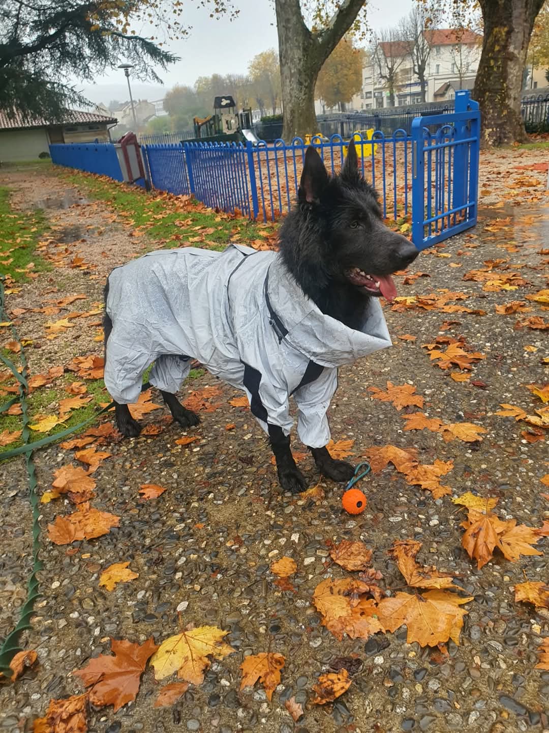 Sorties bergers allemands