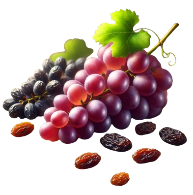 Raisins et raisins secs