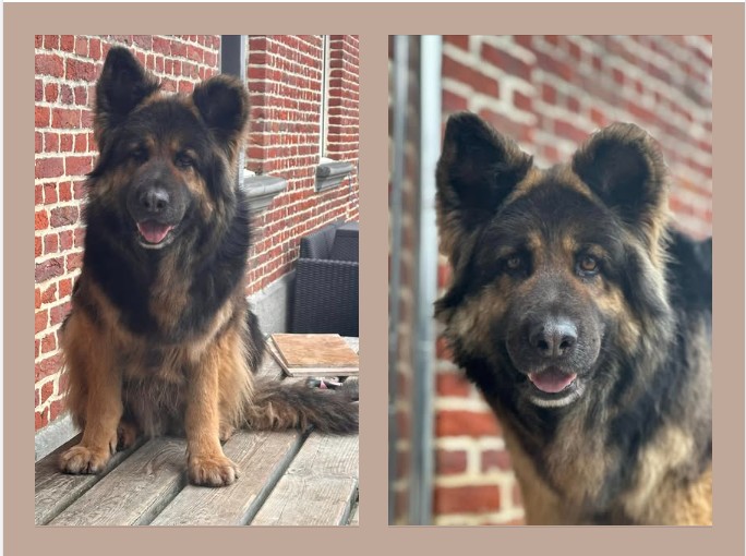 Grand-Mère maternel Yoda